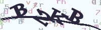 reload image