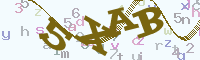 reload image