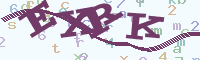 reload image