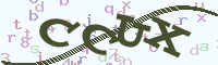 reload image