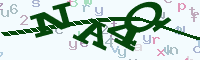 reload image