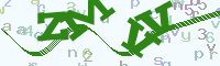 reload image
