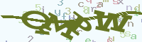 reload image