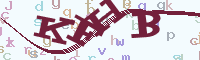 reload image